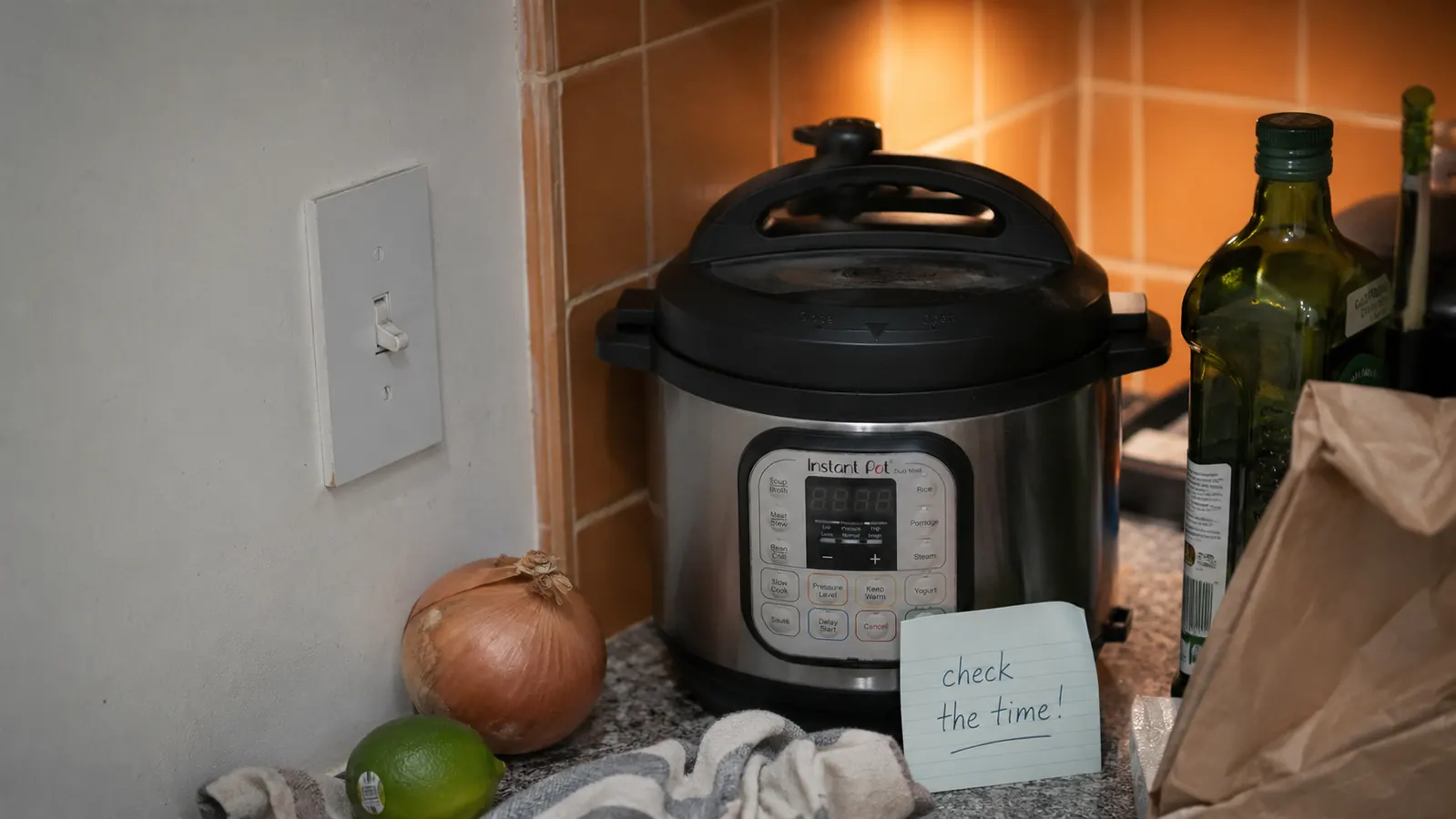 Instant Pot Duo Mini Honest Review: Is the 3-Quart Size Worth It?
